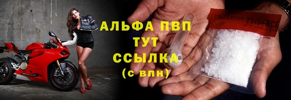 индика Баксан