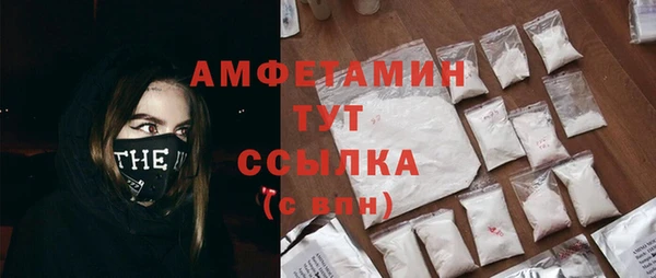 индика Баксан