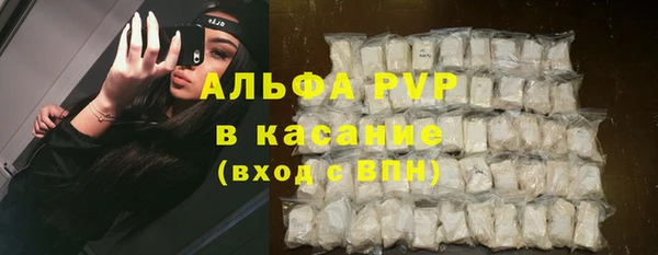 индика Баксан