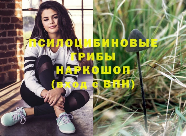 индика Баксан