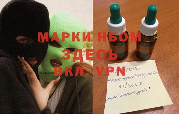 индика Баксан
