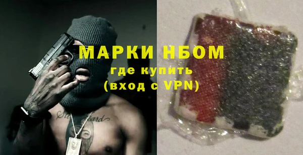 индика Баксан