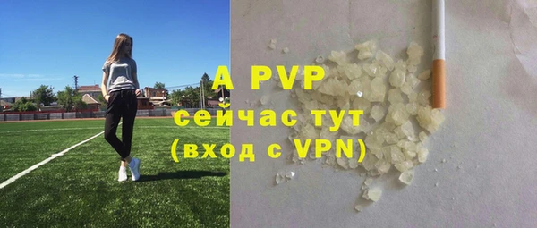 индика Баксан