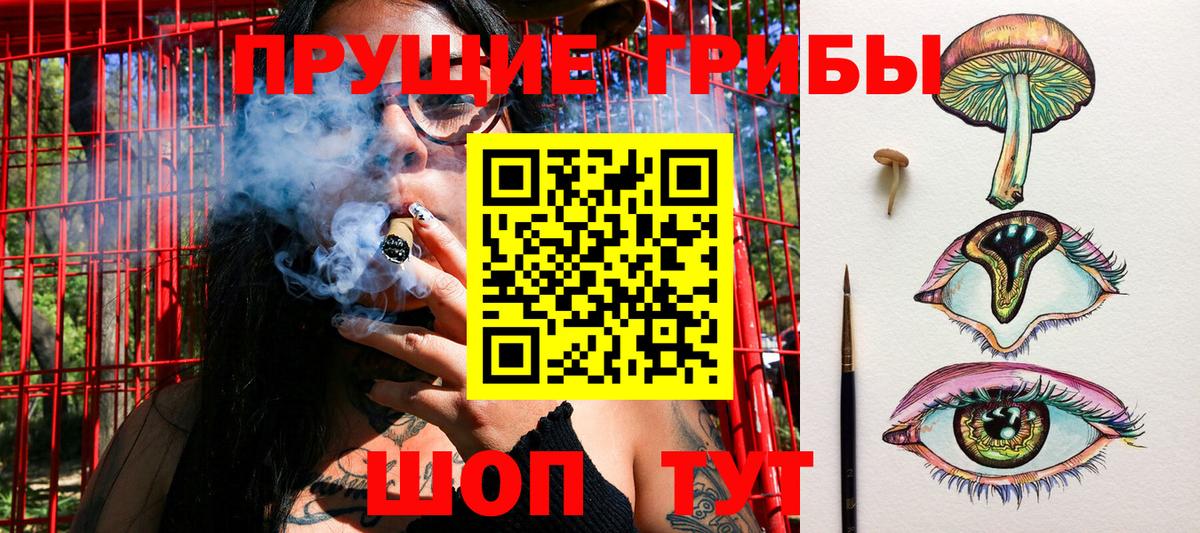 Галлюциногенные грибы Psilocybine cubensis Баксан