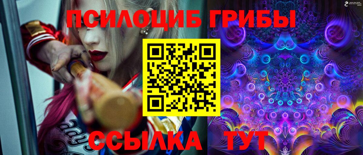 Галлюциногенные грибы Psilocybine cubensis  Псилоцибиновые грибы мухоморы  Баксан  Вход с VPN 
